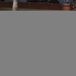 FITS2009_77 ()